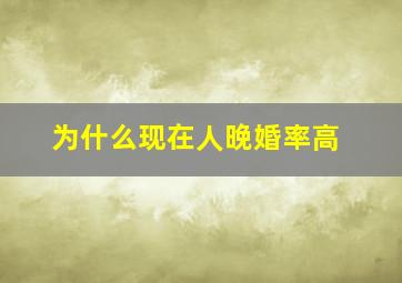 为什么现在人晚婚率高