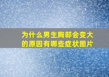 为什么男生胸部会变大的原因有哪些症状图片