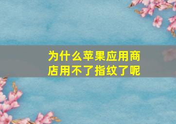 为什么苹果应用商店用不了指纹了呢