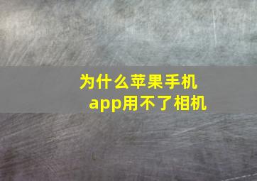 为什么苹果手机app用不了相机