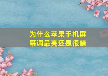 为什么苹果手机屏幕调最亮还是很暗