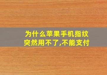 为什么苹果手机指纹突然用不了,不能支付