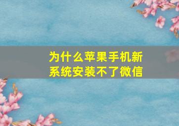 为什么苹果手机新系统安装不了微信