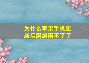 为什么苹果手机更新后网络用不了了