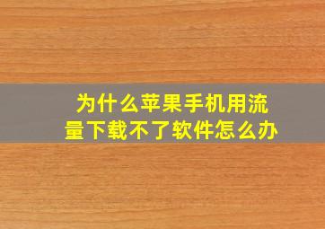 为什么苹果手机用流量下载不了软件怎么办