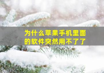 为什么苹果手机里面的软件突然用不了了