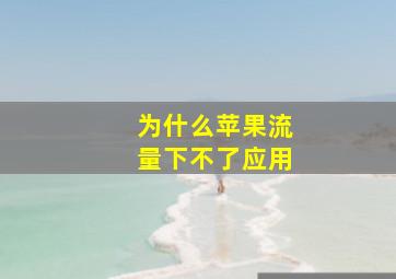 为什么苹果流量下不了应用