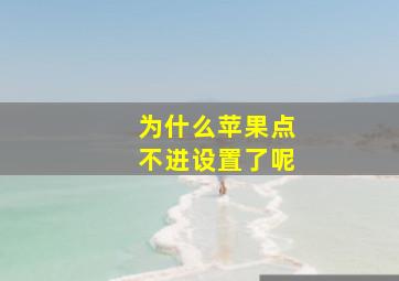 为什么苹果点不进设置了呢