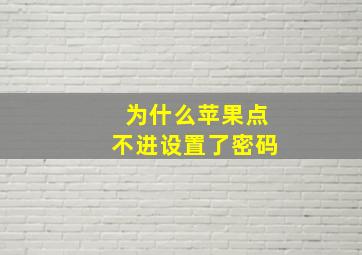 为什么苹果点不进设置了密码