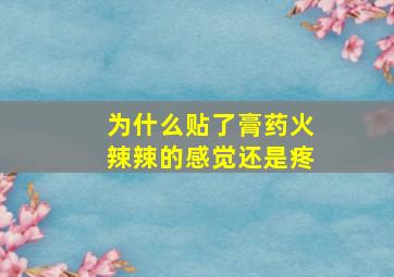 为什么贴了膏药火辣辣的感觉还是疼