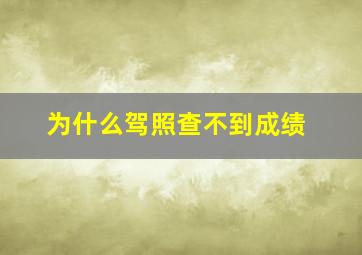 为什么驾照查不到成绩