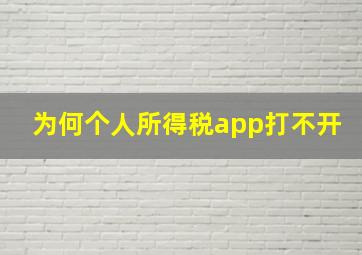 为何个人所得税app打不开