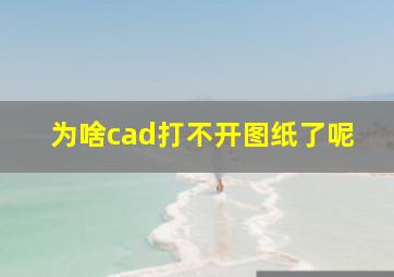 为啥cad打不开图纸了呢