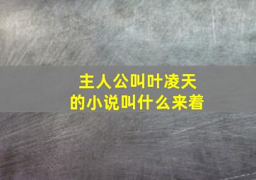 主人公叫叶凌天的小说叫什么来着