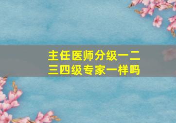 主任医师分级一二三四级专家一样吗