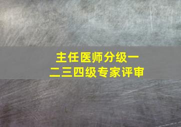 主任医师分级一二三四级专家评审