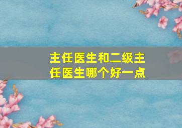 主任医生和二级主任医生哪个好一点