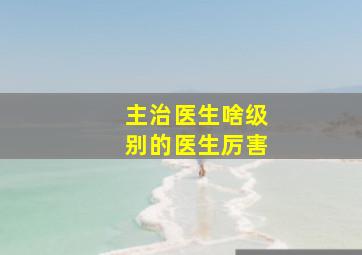 主治医生啥级别的医生厉害