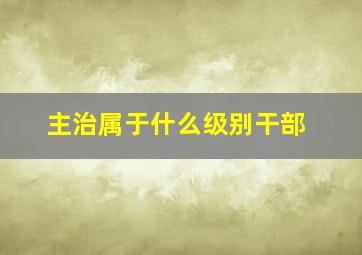 主治属于什么级别干部