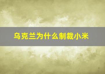 乌克兰为什么制裁小米