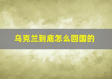 乌克兰到底怎么回国的