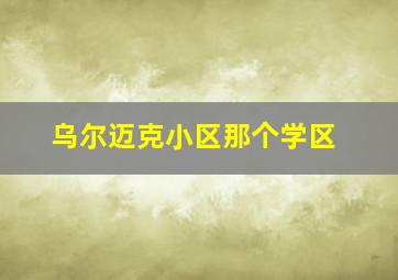 乌尔迈克小区那个学区