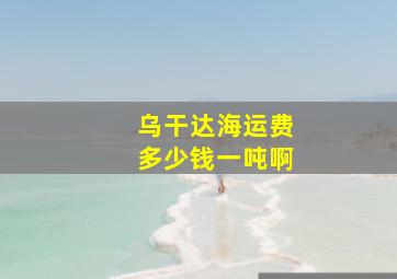 乌干达海运费多少钱一吨啊