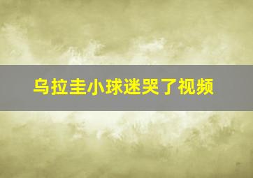 乌拉圭小球迷哭了视频