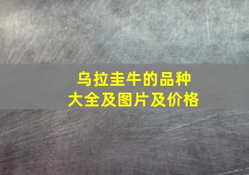 乌拉圭牛的品种大全及图片及价格