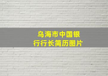 乌海市中国银行行长简历图片