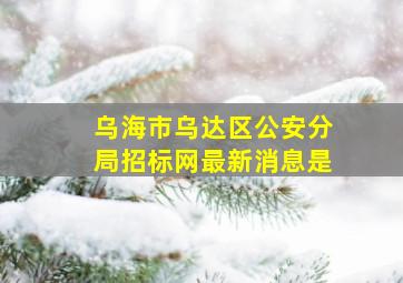 乌海市乌达区公安分局招标网最新消息是