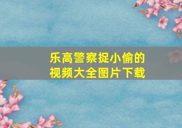 乐高警察捉小偷的视频大全图片下载