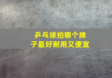 乒乓球拍哪个牌子最好耐用又便宜