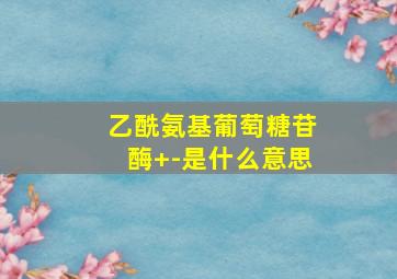 乙酰氨基葡萄糖苷酶+-是什么意思