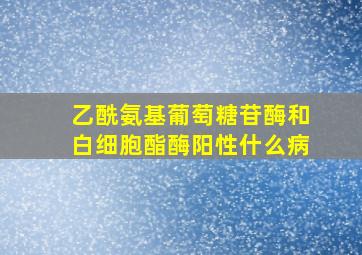 乙酰氨基葡萄糖苷酶和白细胞酯酶阳性什么病