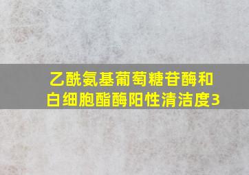 乙酰氨基葡萄糖苷酶和白细胞酯酶阳性清洁度3