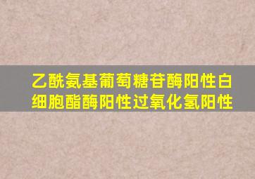 乙酰氨基葡萄糖苷酶阳性白细胞酯酶阳性过氧化氢阳性