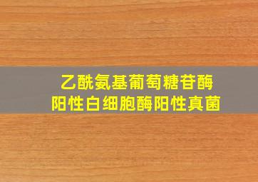 乙酰氨基葡萄糖苷酶阳性白细胞酶阳性真菌