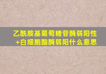 乙酰胺基葡萄糖苷酶弱阳性+白细胞酯酶弱阳什么意思