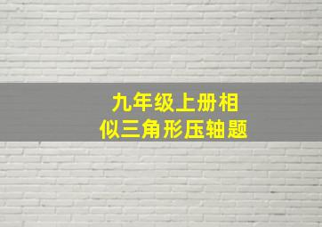 九年级上册相似三角形压轴题