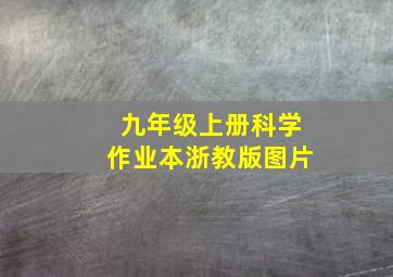 九年级上册科学作业本浙教版图片