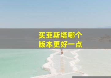 买菲斯塔哪个版本更好一点