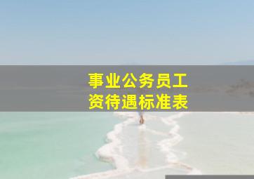 事业公务员工资待遇标准表