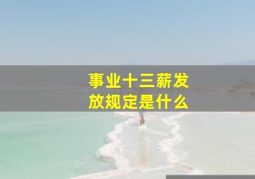 事业十三薪发放规定是什么