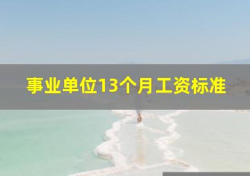 事业单位13个月工资标准