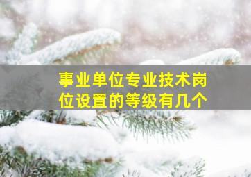 事业单位专业技术岗位设置的等级有几个