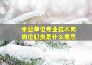 事业单位专业技术岗岗位职责是什么意思