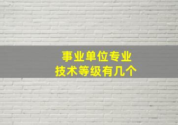 事业单位专业技术等级有几个