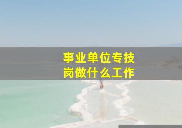 事业单位专技岗做什么工作