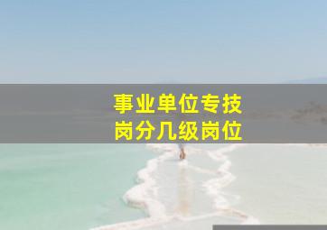 事业单位专技岗分几级岗位